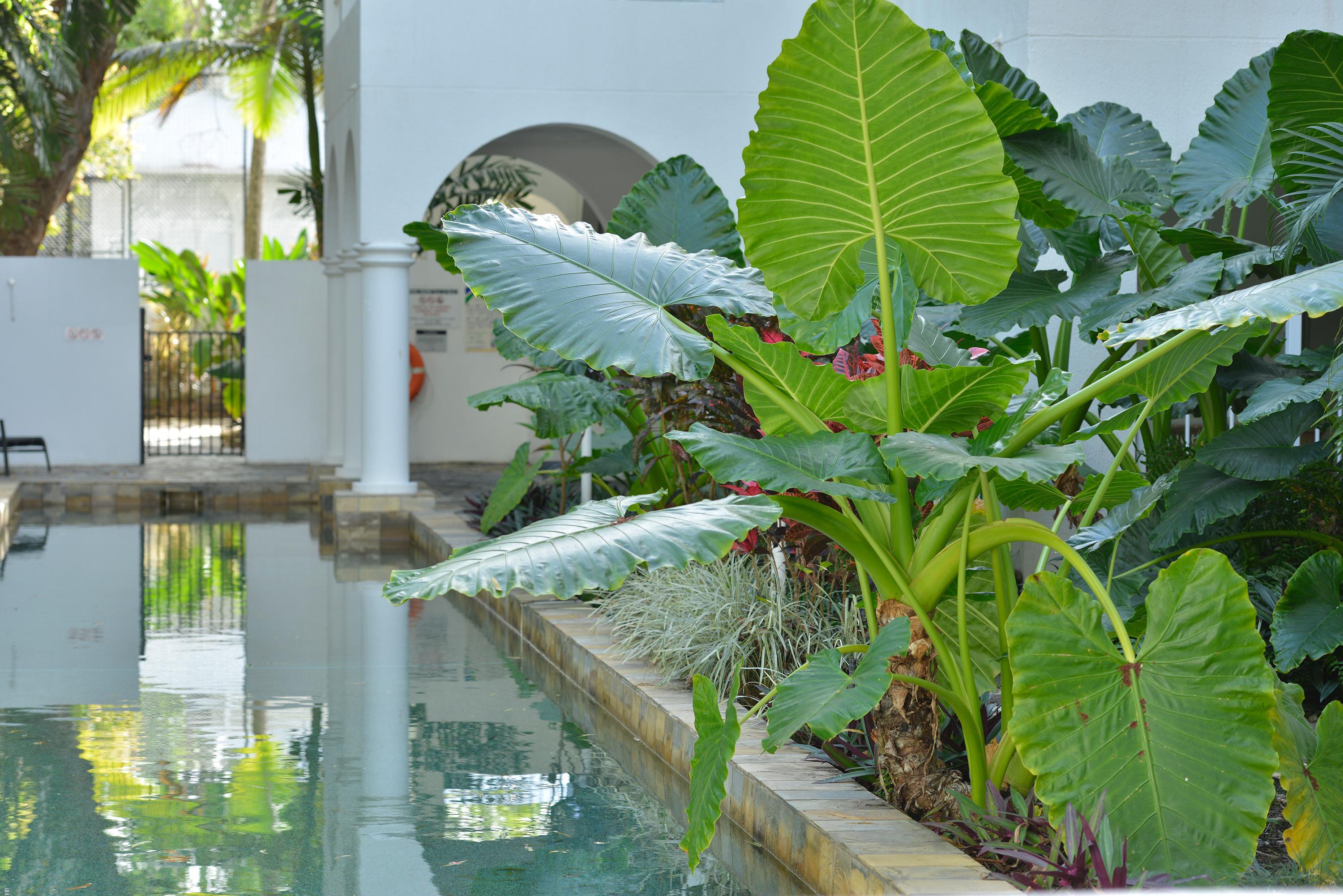 Mantra Portsea Hotel Port Douglas Ngoại thất bức ảnh
